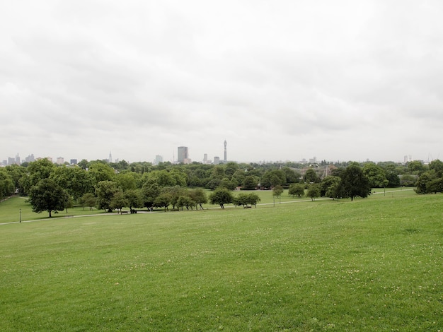 Primrose Hill London