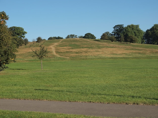 Primrose Hill London