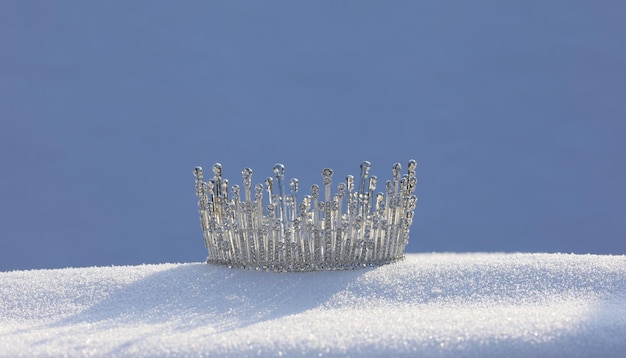 princess crown isolated on snow