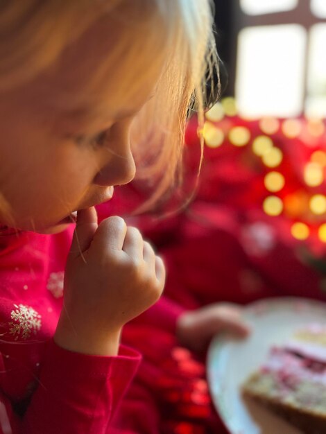 写真 ケーキを持ったプリンセス