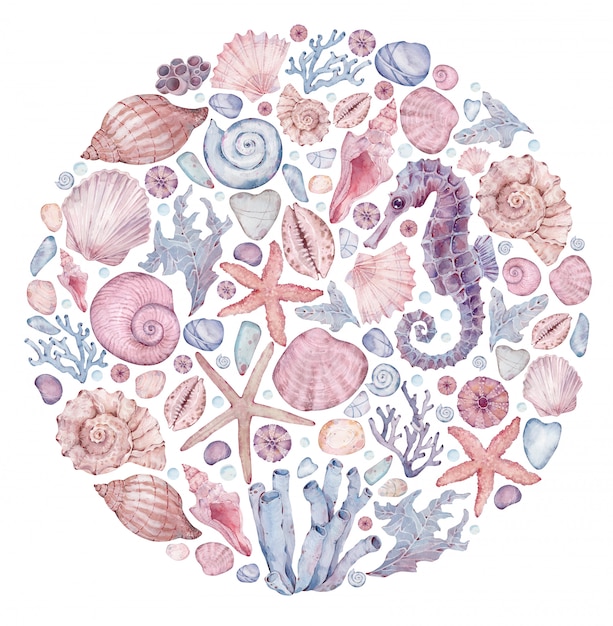 Print met aquarel mariene motieven. Cirkel handgetekende illustratie met seahorse, zeester, schelpen, koralen, zeewier.