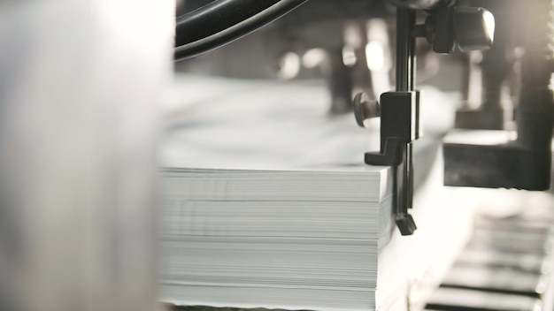 인쇄된 용지는 인쇄기 오프셋 Cmyk로 제공됩니다.