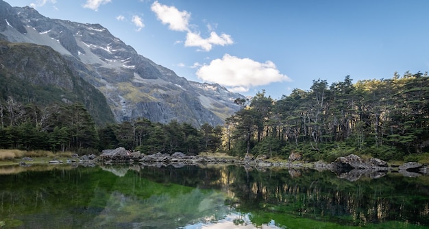 Pristine alpine lake surrounded by trees and mountains blue lakenelson lakes new zealand