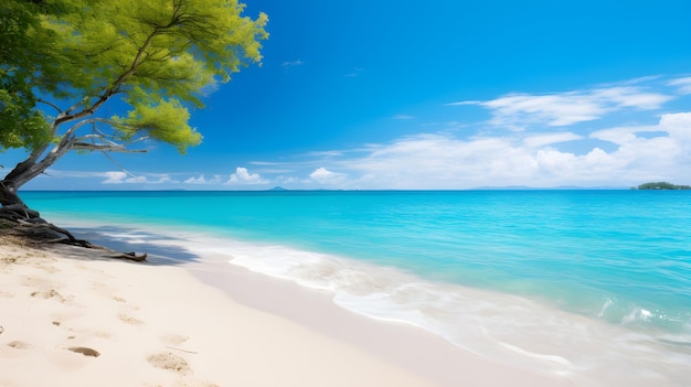 A pristine beach with clear blue waters