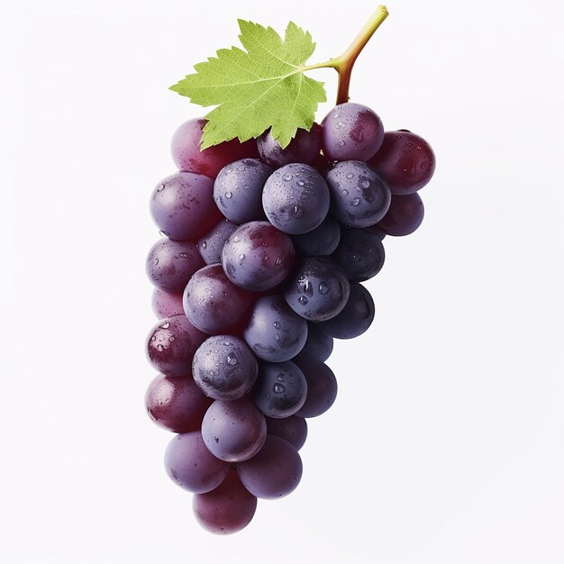 Pristine Grape Singular Fruit on a White Background