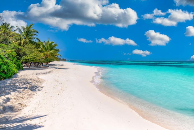 Pristine island beach. Summer landscape sunny sea sky white sand palm tree. Amazing travel wallpaper