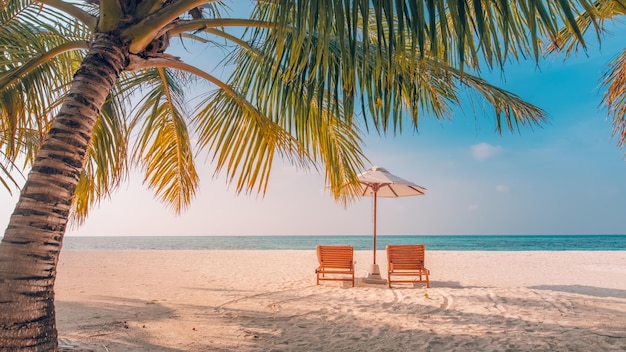 Pristine island beach. Summer landscape sunset sea sky white sand palm tree Amazing travel wallpaper