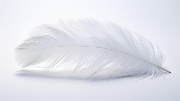 A pristine white background featuring soft feather details on its surface