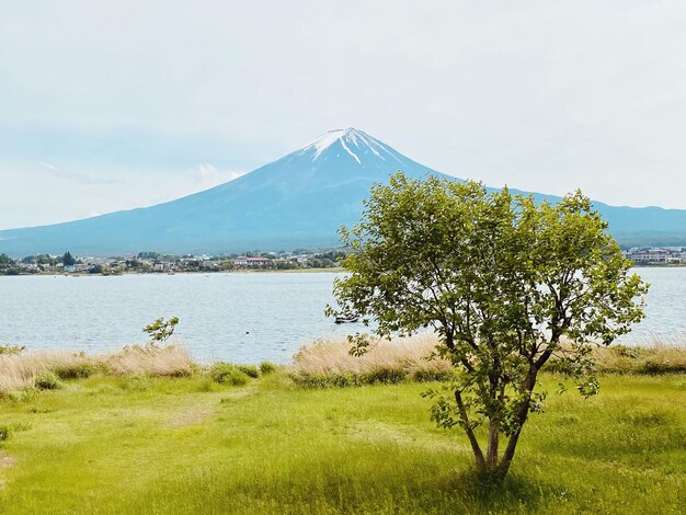 Privé plek voor Fuji-san.