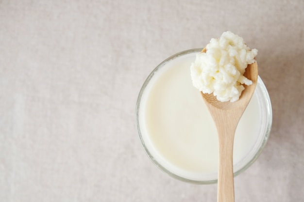 Grani di kefir latte probiotico