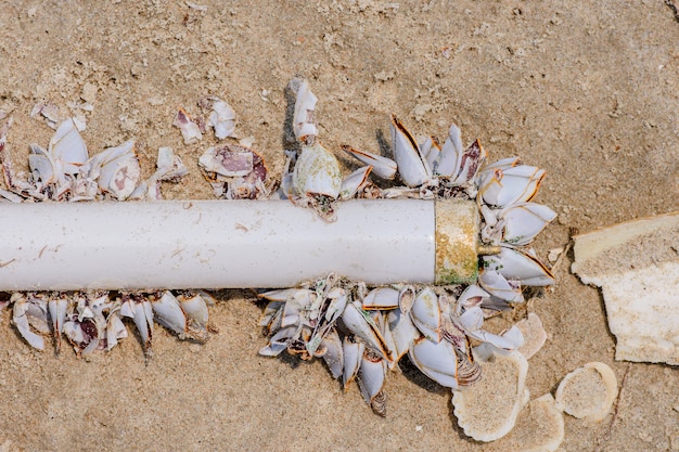 Foto probleem van afval in de zee. gloeilamp bleef op zee achter