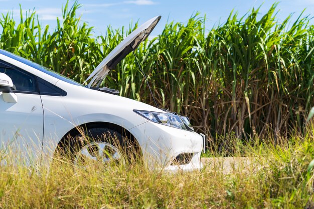 Probleem witte auto op de weg