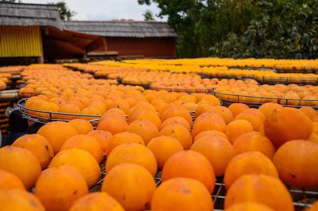 Proces van het maken van gedroogde persimmon tijdens de winderige herfst