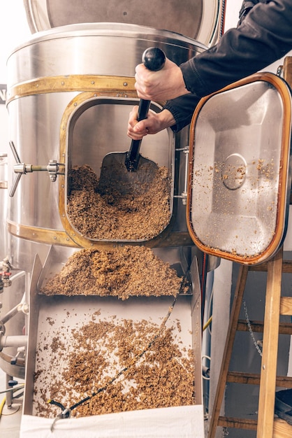 Process of brewing grain of barley