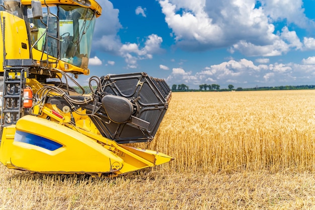 Process of gathering a ripe crop from the fields combine\
harvester in action on wheat field closeup