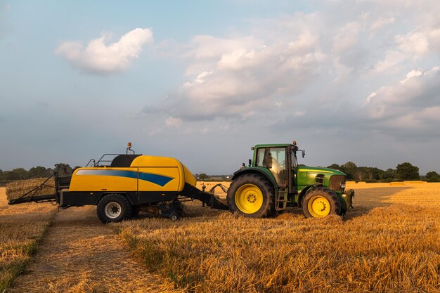 Process of hay making during harvesting