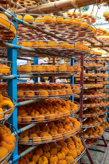 Process of Making Dried Persimmon during Windy Autumn