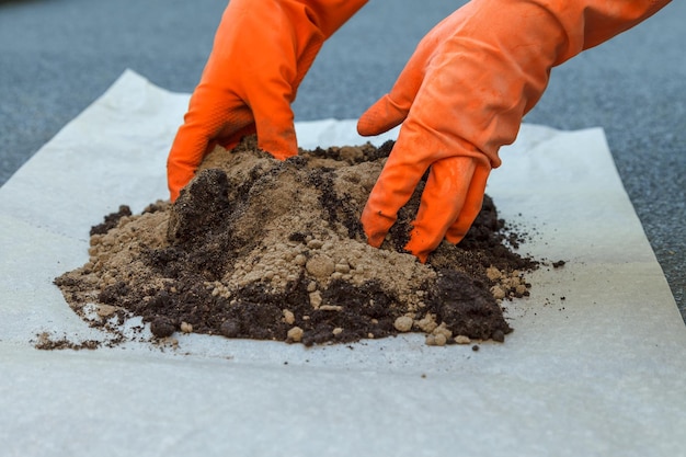 The process of preparing the soil for planting indoor plants