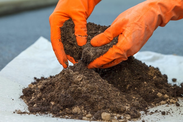 The process of preparing the soil for planting indoor plants