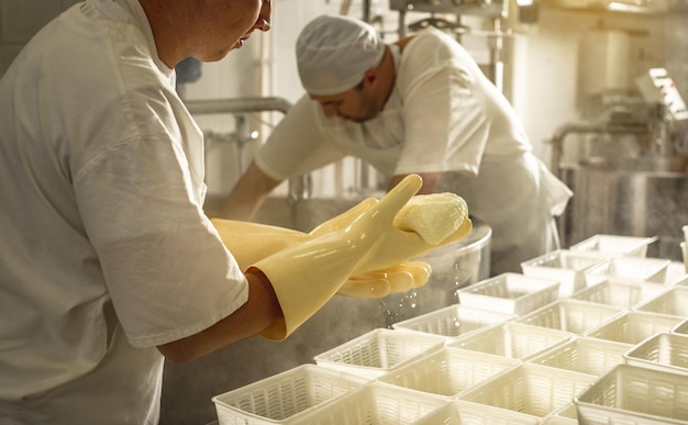 Process of producing different varieties of cheese in industry Cheesemaking from natural milk