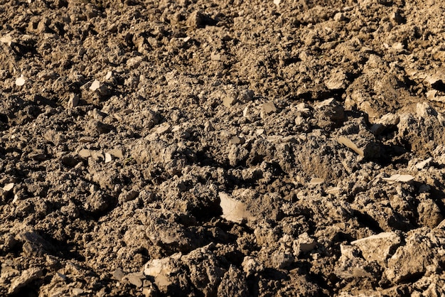 Processed plowed fertile soil in the field