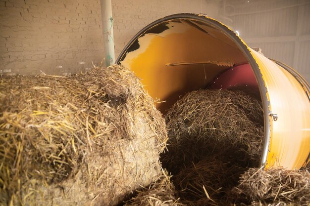 Processing of hay for biomass on the farm