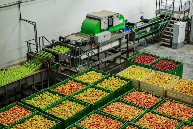 Productie-installatie voor het wassen, sorteren en verpakken van appels