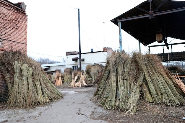 Productie van meubels van de wijnstok Fabriek voor het maken van natuurlijke meubels Handmatige productie