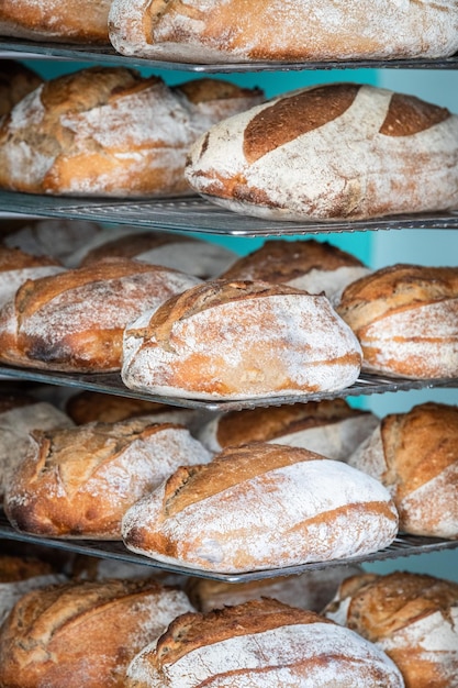 Productietijd van vers en geproefd brood