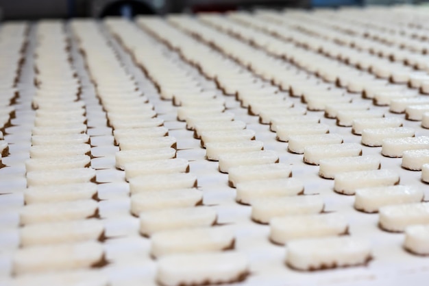 Production of chocolate bars Confectionery factory