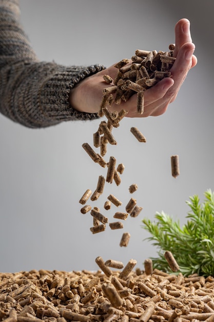 Production of wood pellets A type of wood fuel