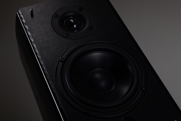 Professional acoustics for listening to music in high resolution with two luxury speakers on a black