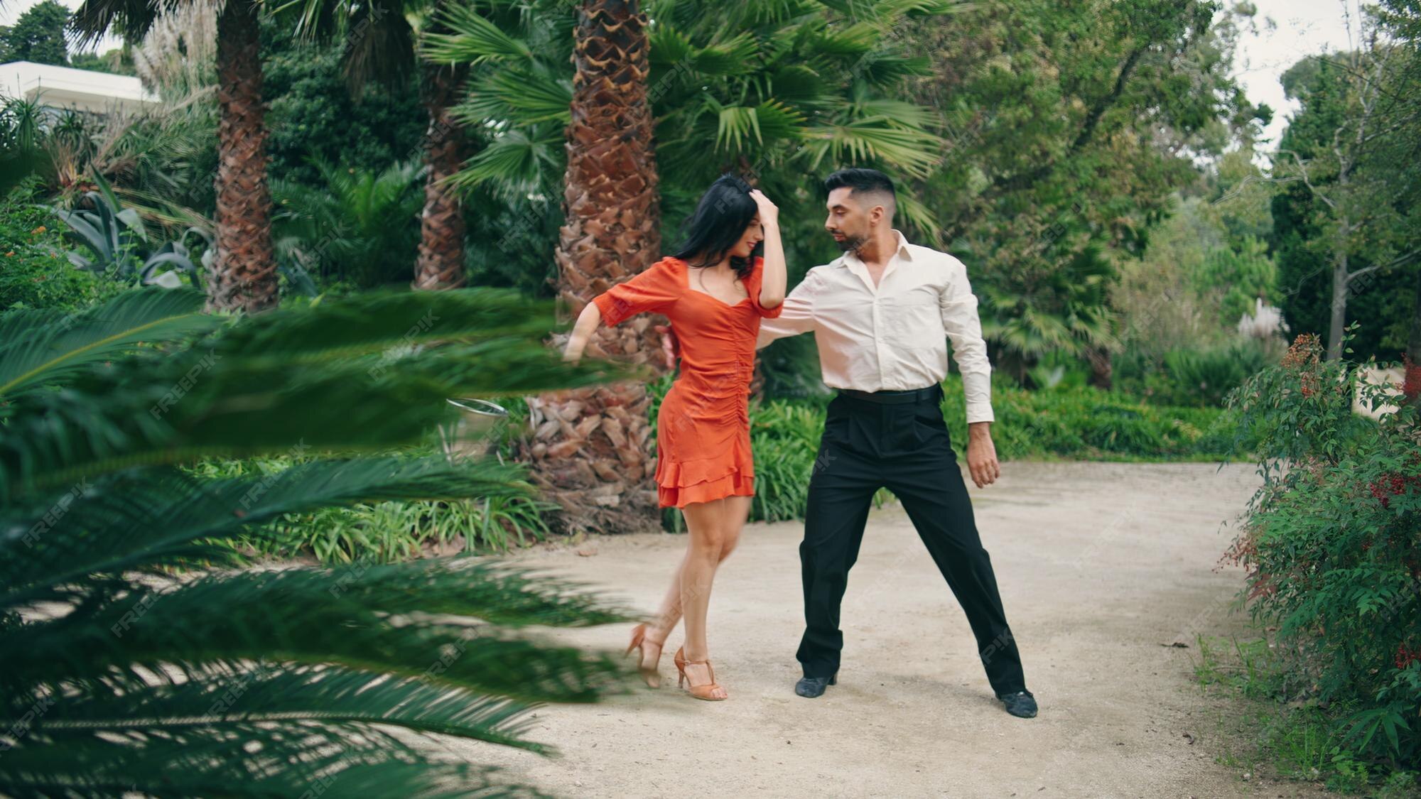 Premium Photo | Professional artists dancing latin american dance in