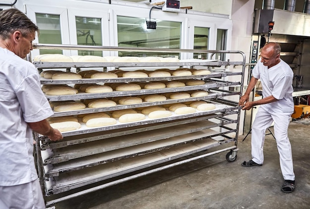 Il fornaio professionista in uniforme inserisce carrello con piani per la cottura della pasta cruda per fare il pane in un forno industriale in una panetteria