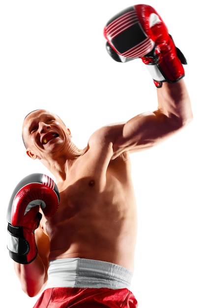 professional boxer isolated in white background