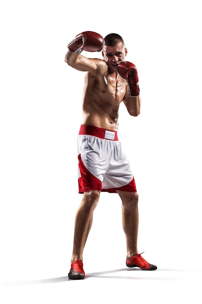 Professional boxer in white isolated background