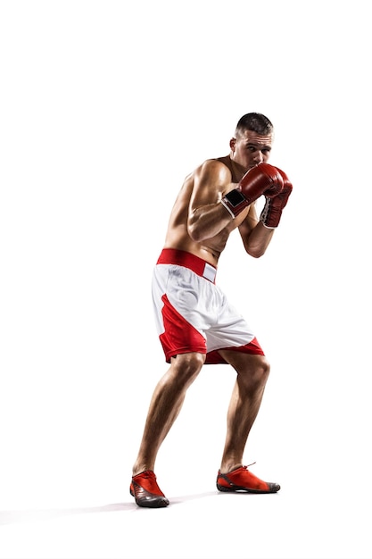 Professional boxer in white isolated background