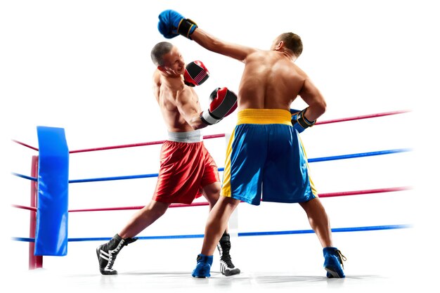 professional boxers isolated in white background dark