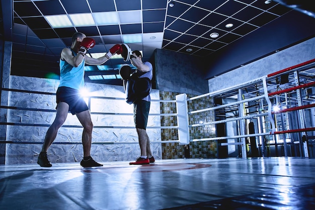 手袋をはめたプロのボクサーは、屋内ボクシングリングの暗い色で戦います