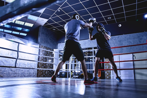 Professional boxers with gloves train fights in indoor boxing ring dark colors