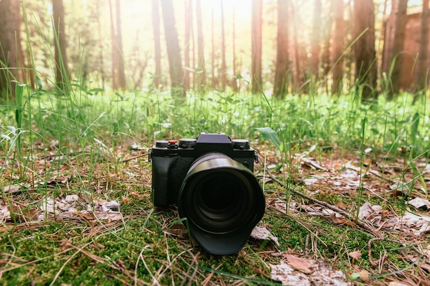 森の草の上でプロのカメラ