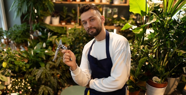 オフィスや家庭用の鉢植えの植物や植物の専門的なケア