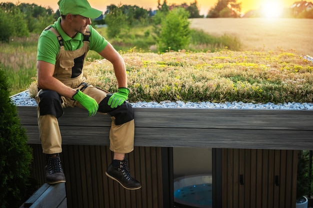 Professional Caucasian Landscaper in His 40s Building Living Roof on a Modern Garden Shed