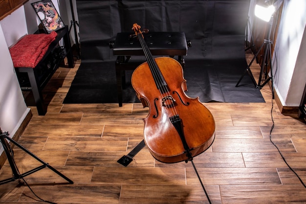 Professional cello made by a luthier