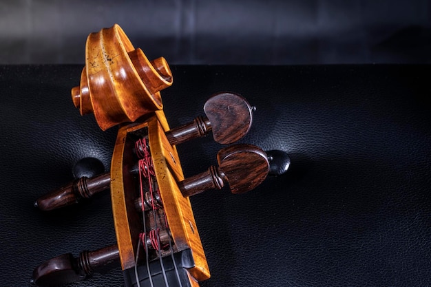 Photo professional cello made by a luthier