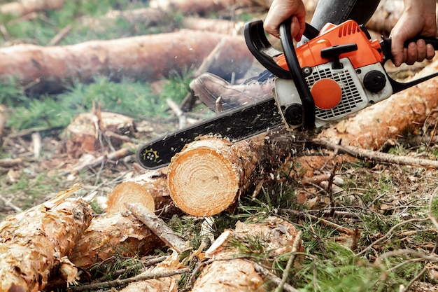 Professional chainsaw close up, logging