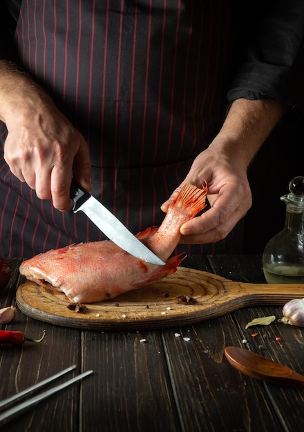 Professional chef prepares fresh Sebastes fish Preparing to cook fish food Cook cuts with knife a red fish