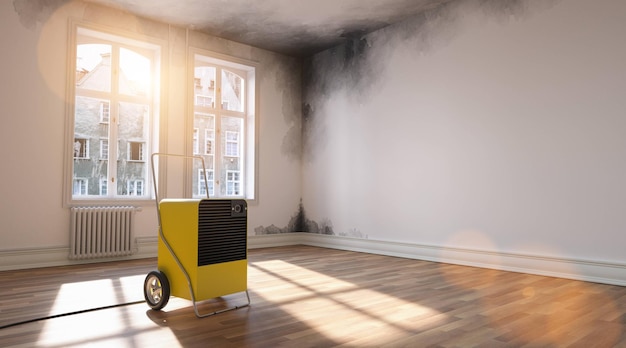 Professional dehumidifier after water damage standing in a room with Mould