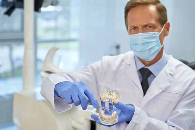 Professional dental doctor using pick while demonstrating teeth model