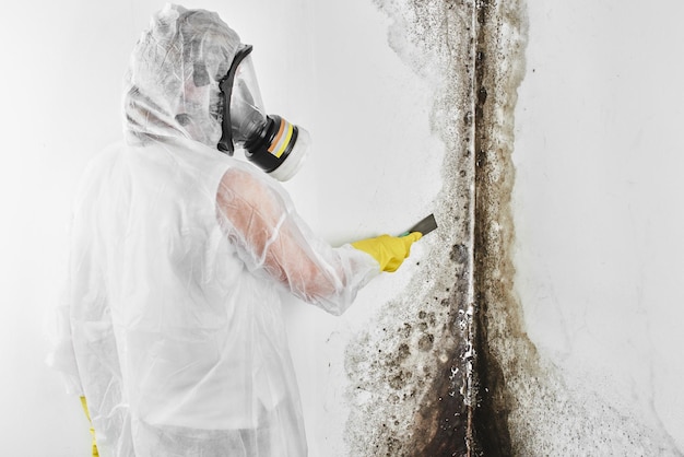 A professional disinfector in overalls processes the walls from mold with a spatula. Removal of black fungus in the apartment and house. Aspergillus.